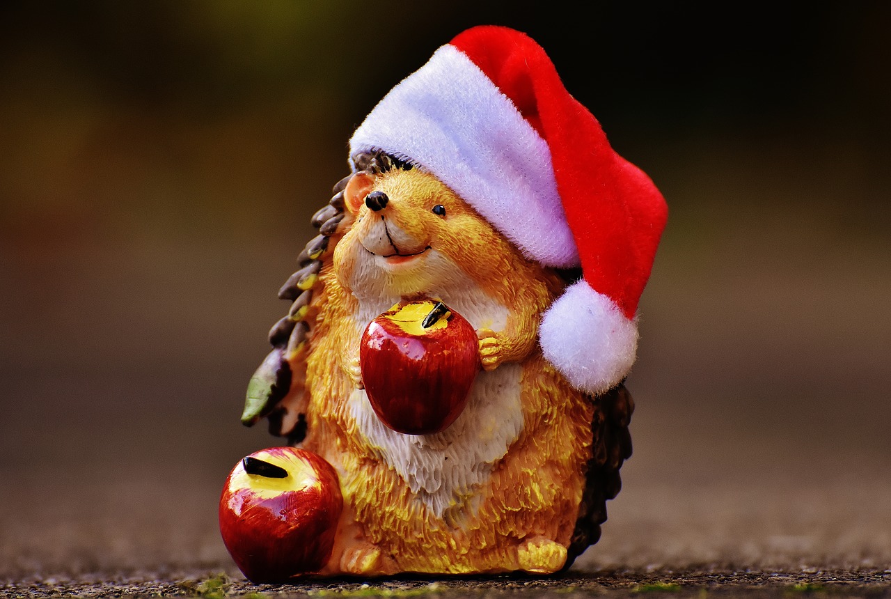 Image - hedgehog figure christmas santa hat