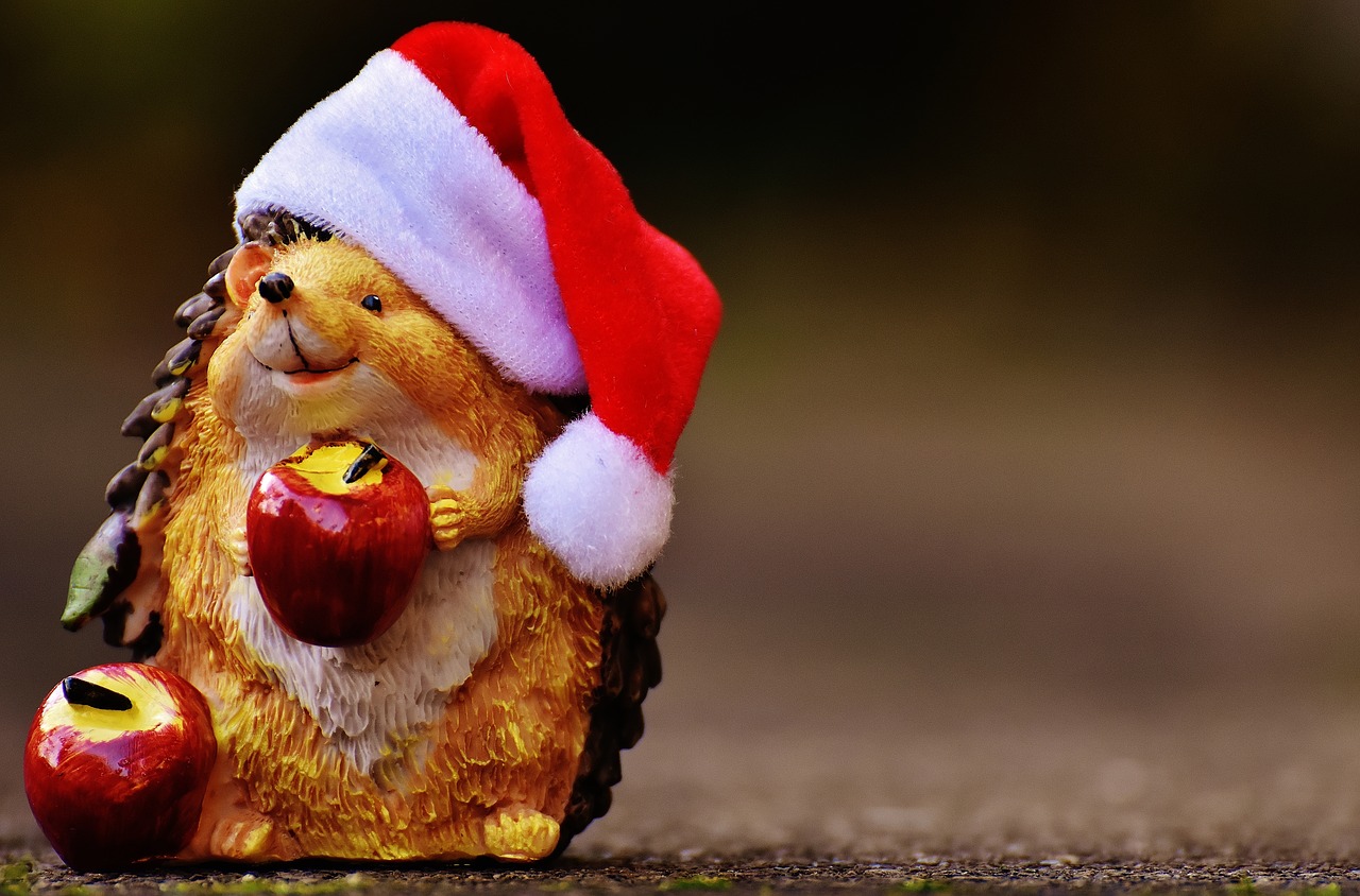 Image - hedgehog figure christmas santa hat