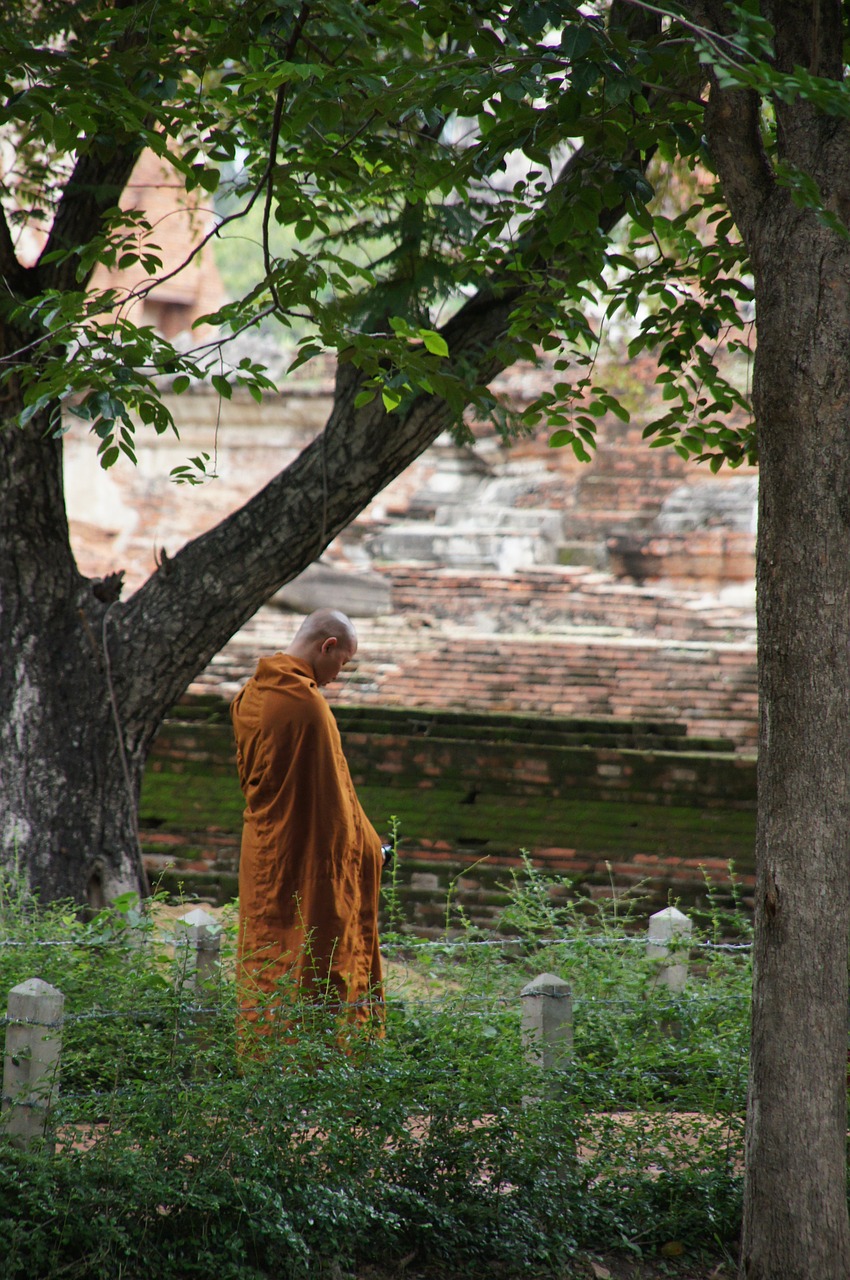 Image - monk munk thailand buddhism orange