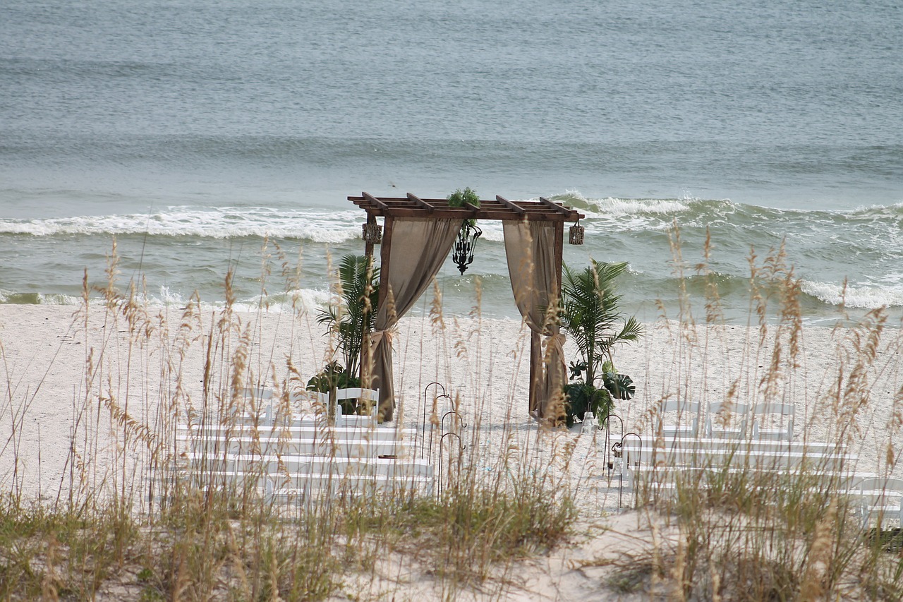 Image - beach wedding ornament decoration
