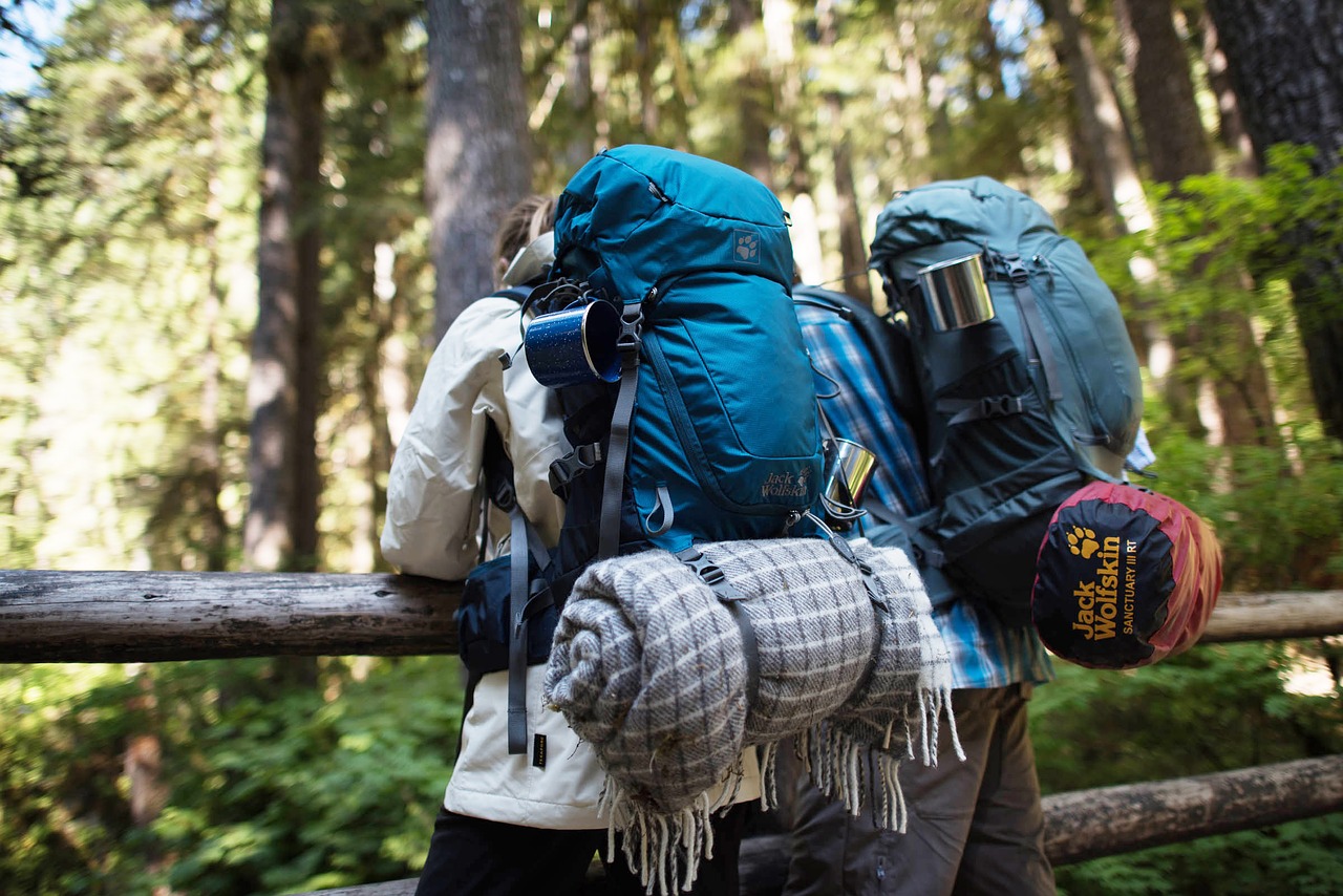 Image - outdoor forest backpackers