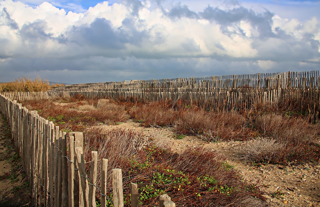 Image - landscape scrubland beach sea wild