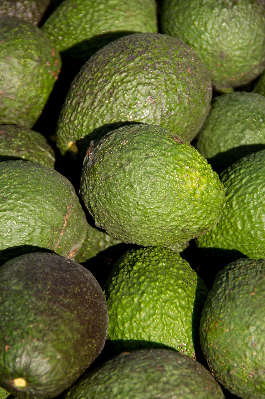 Image - hass avocado avocados fruit food