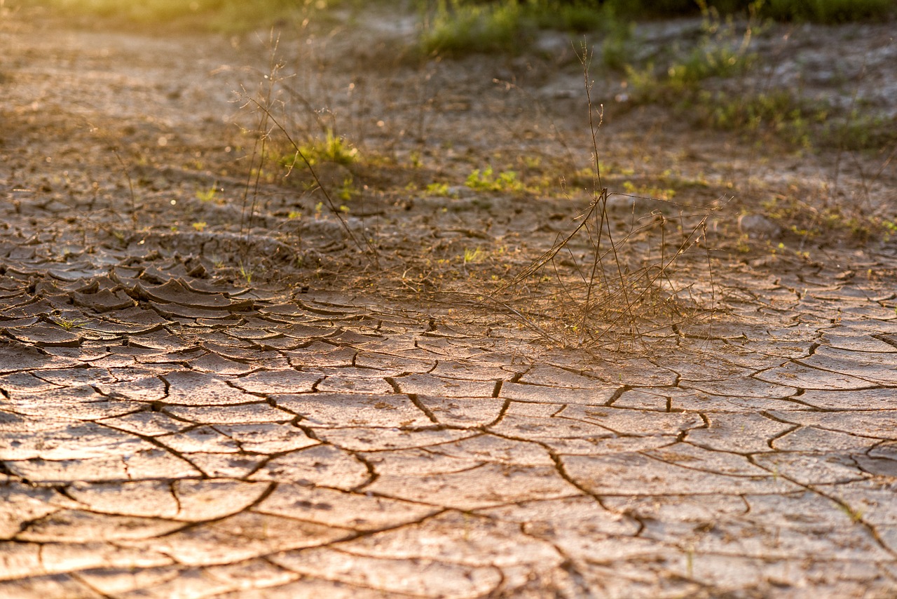 Image - cracked ground desert dirt drought
