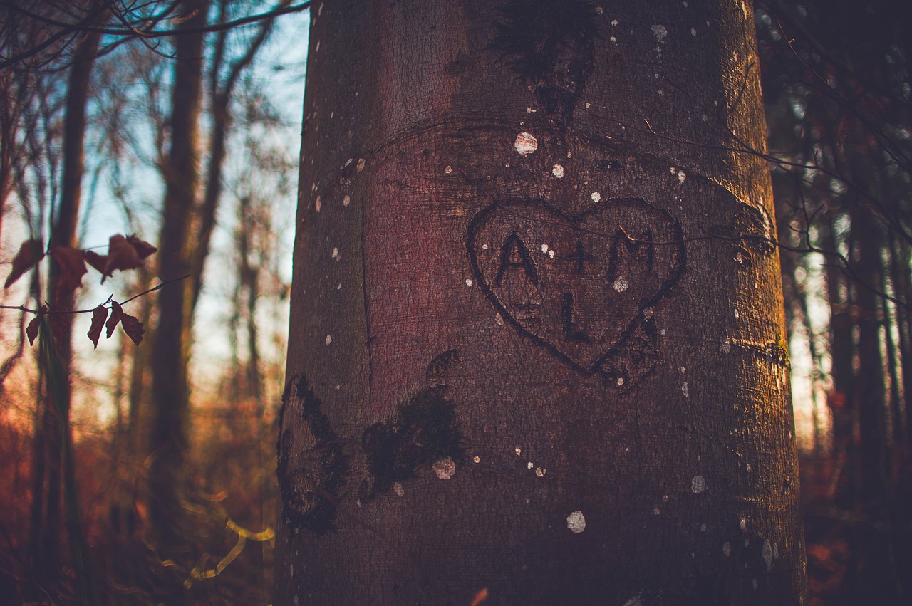 Image - adult dark environment heart