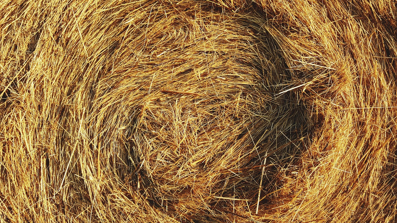 Image - bale close up farm hay haystack