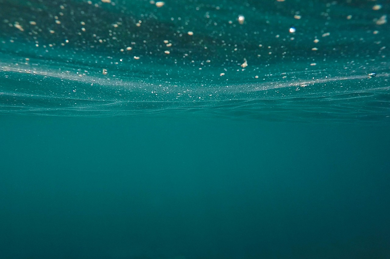 Image - ocean sea submerged underwater