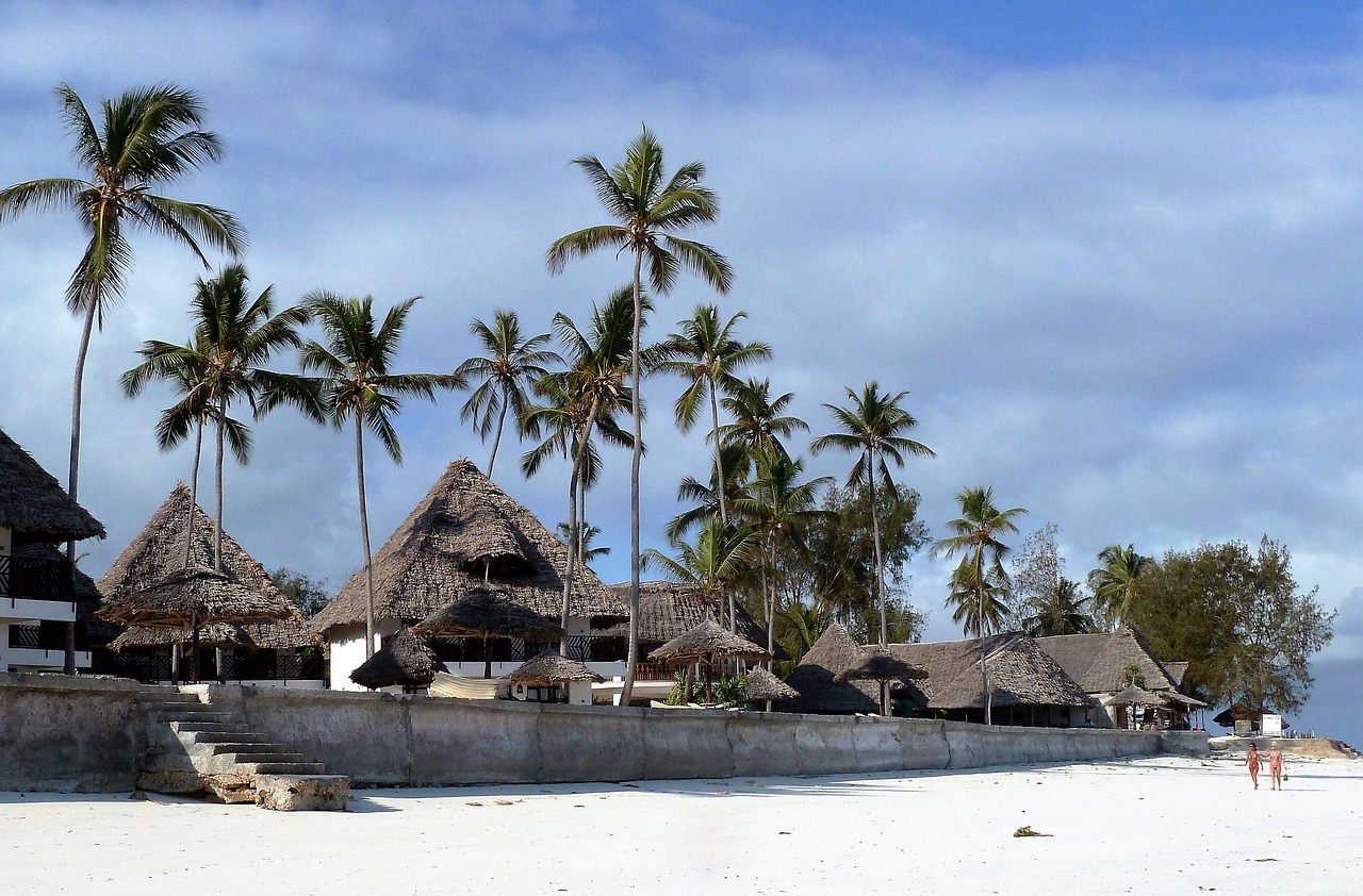 Image - tourism tropics africa zanzibar