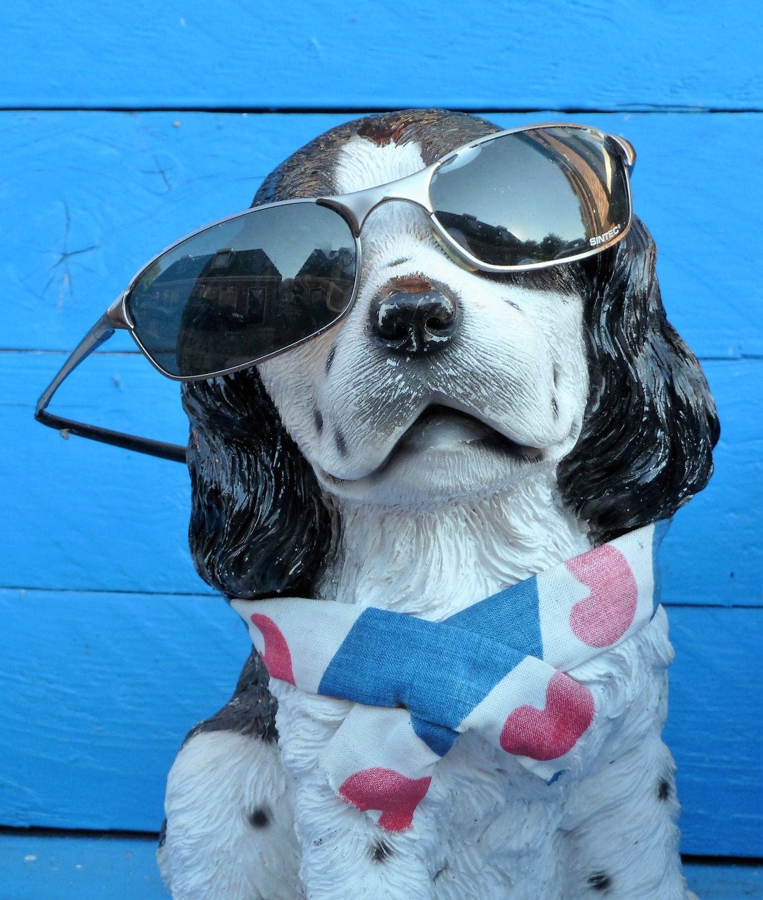 Image - animal dog sunglasses sun funny