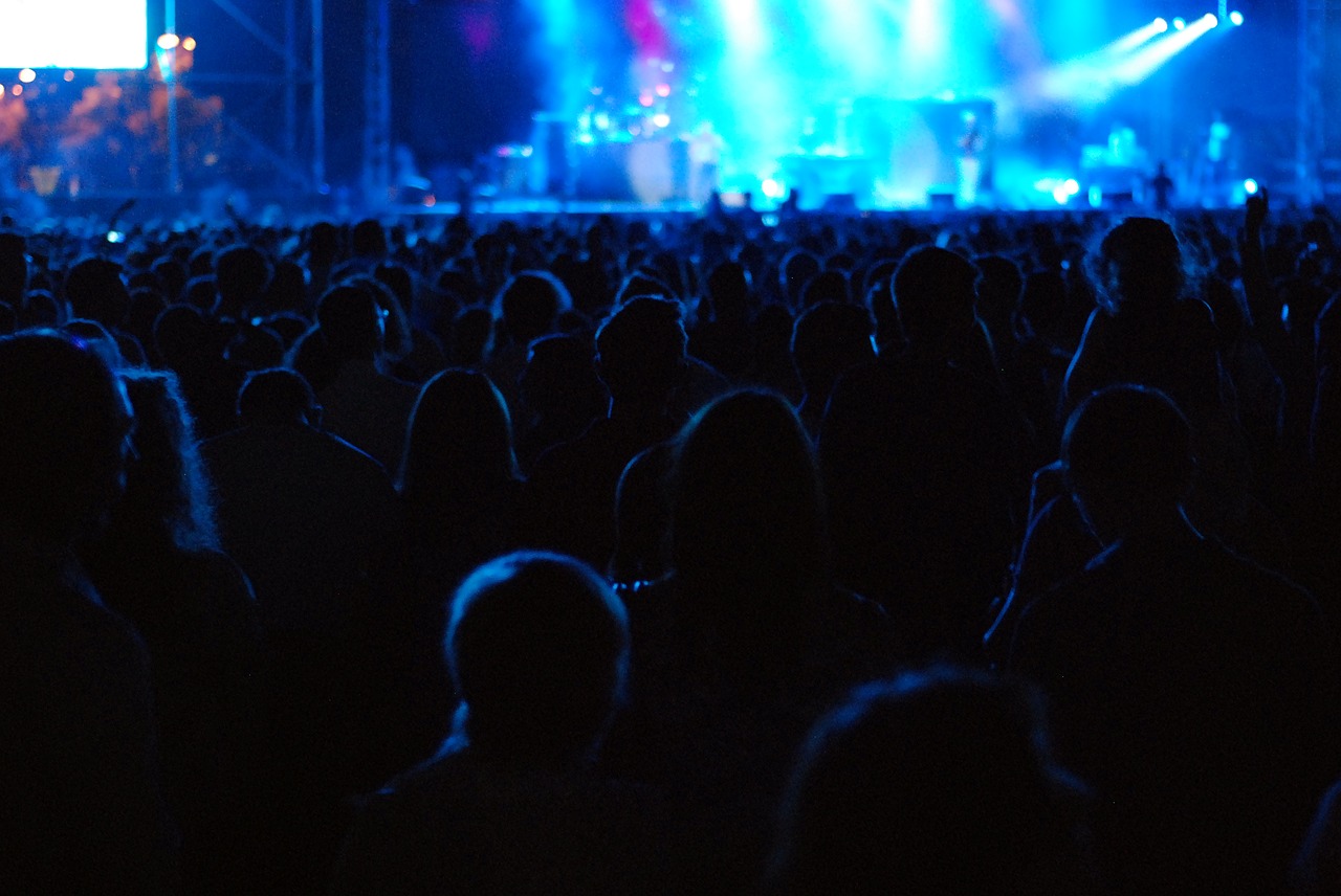 Image - audience concert crowd festival