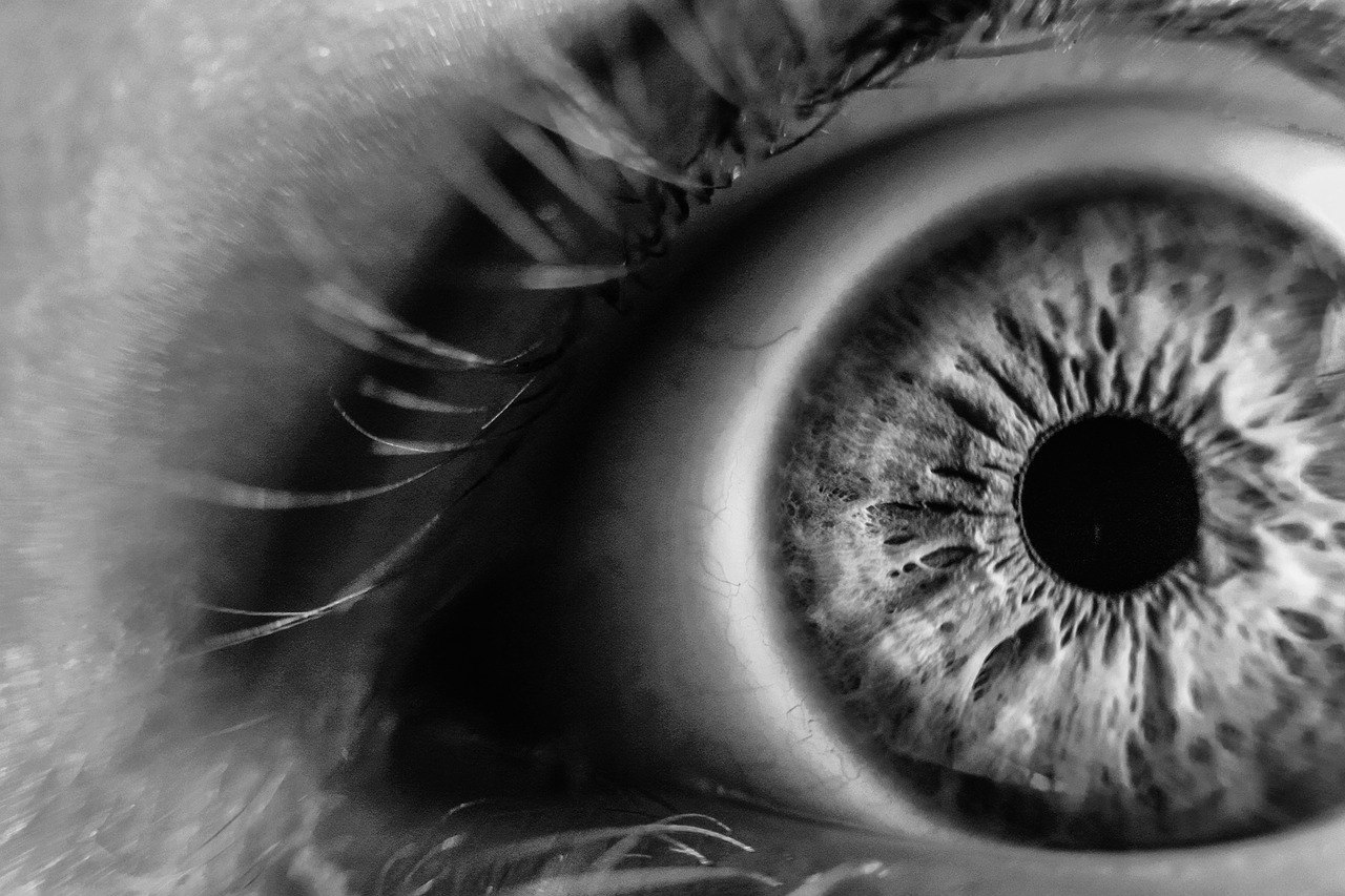 Image - blur close up eye eye lashes iris