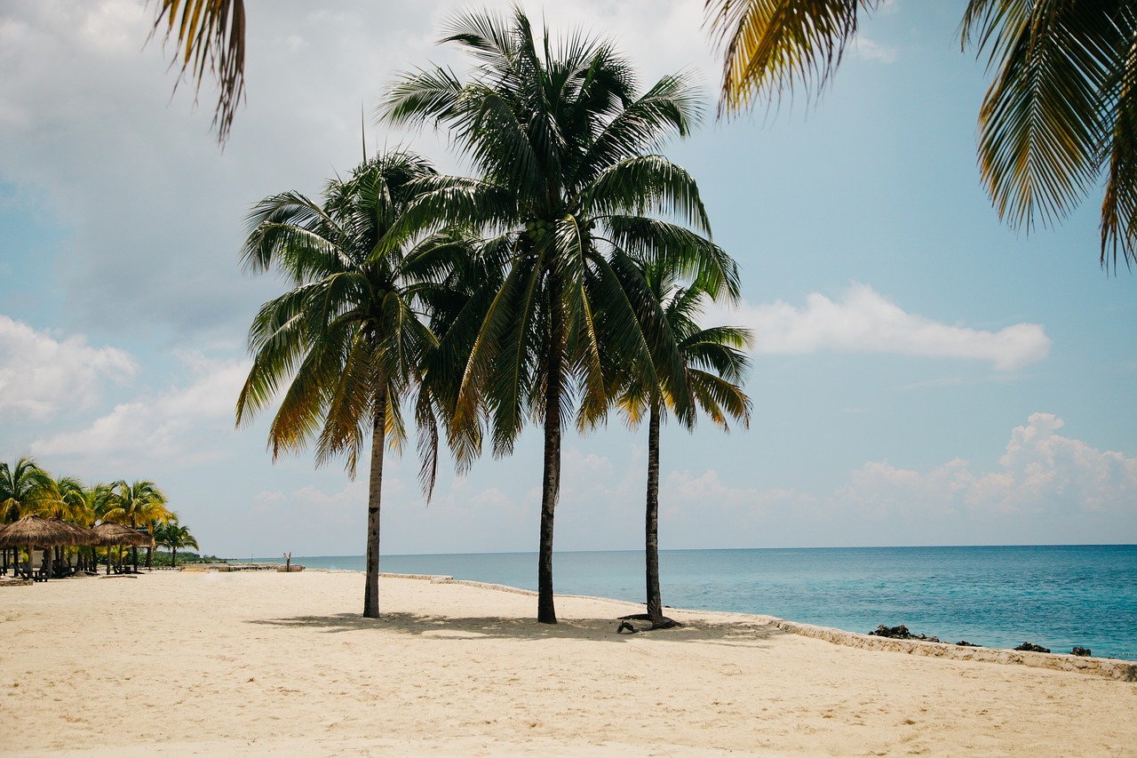 Image - beach idyllic island ocean