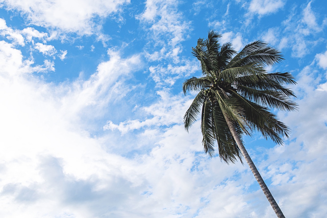 Image - clouds hd wallpaper nature outdoors