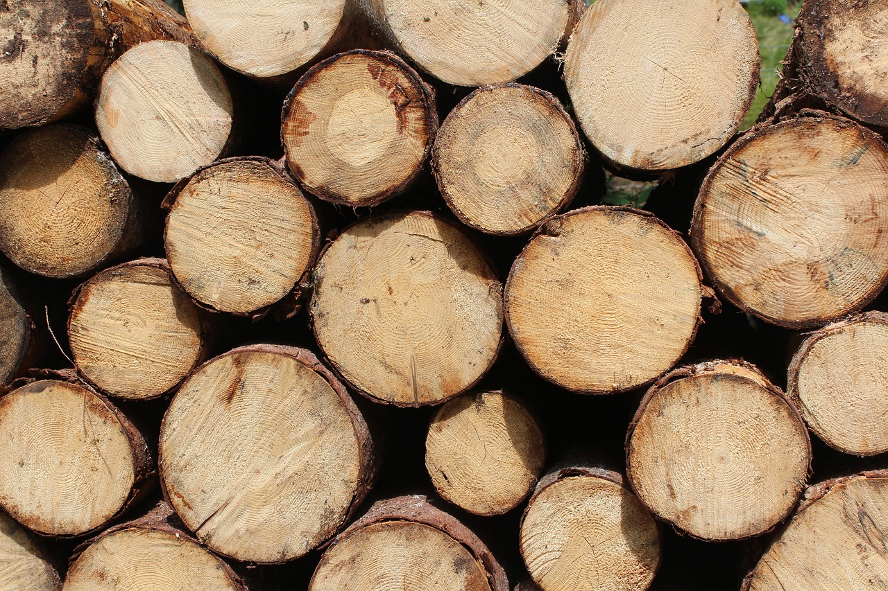 Image - chopped wood firewoods logs lumber