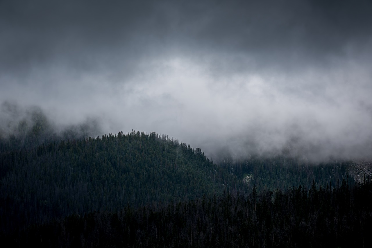 Image - fog landscape mist mountain nature