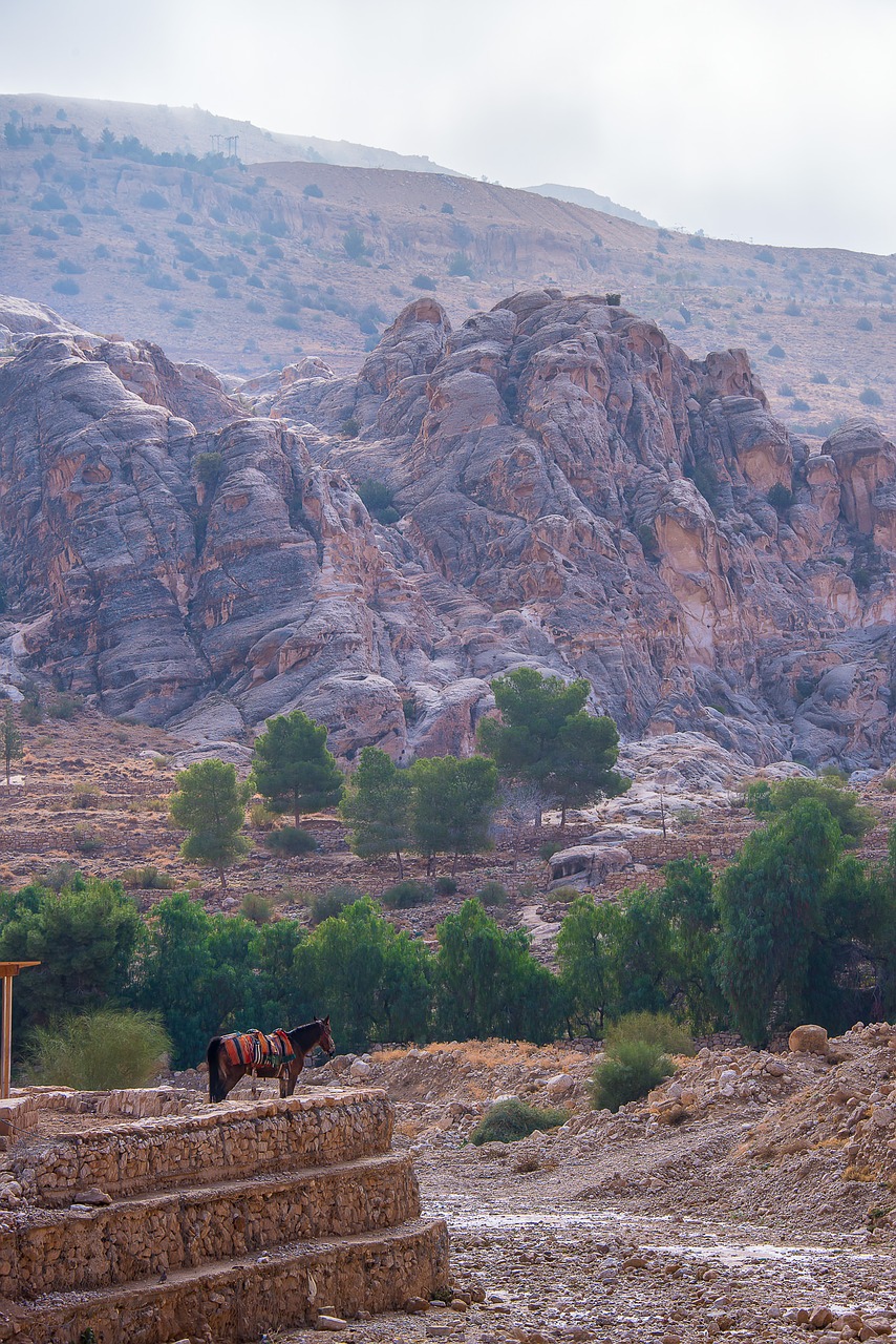 Image - jordan petra horse landscapes