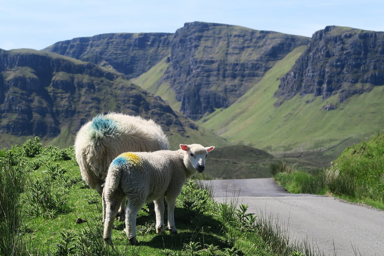 Image - animals countryside grass landscape