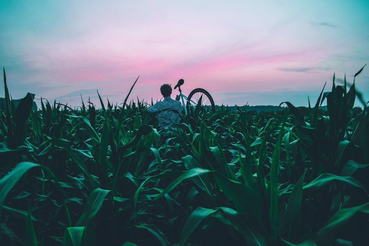 Image - bicycle bike cropland field grass