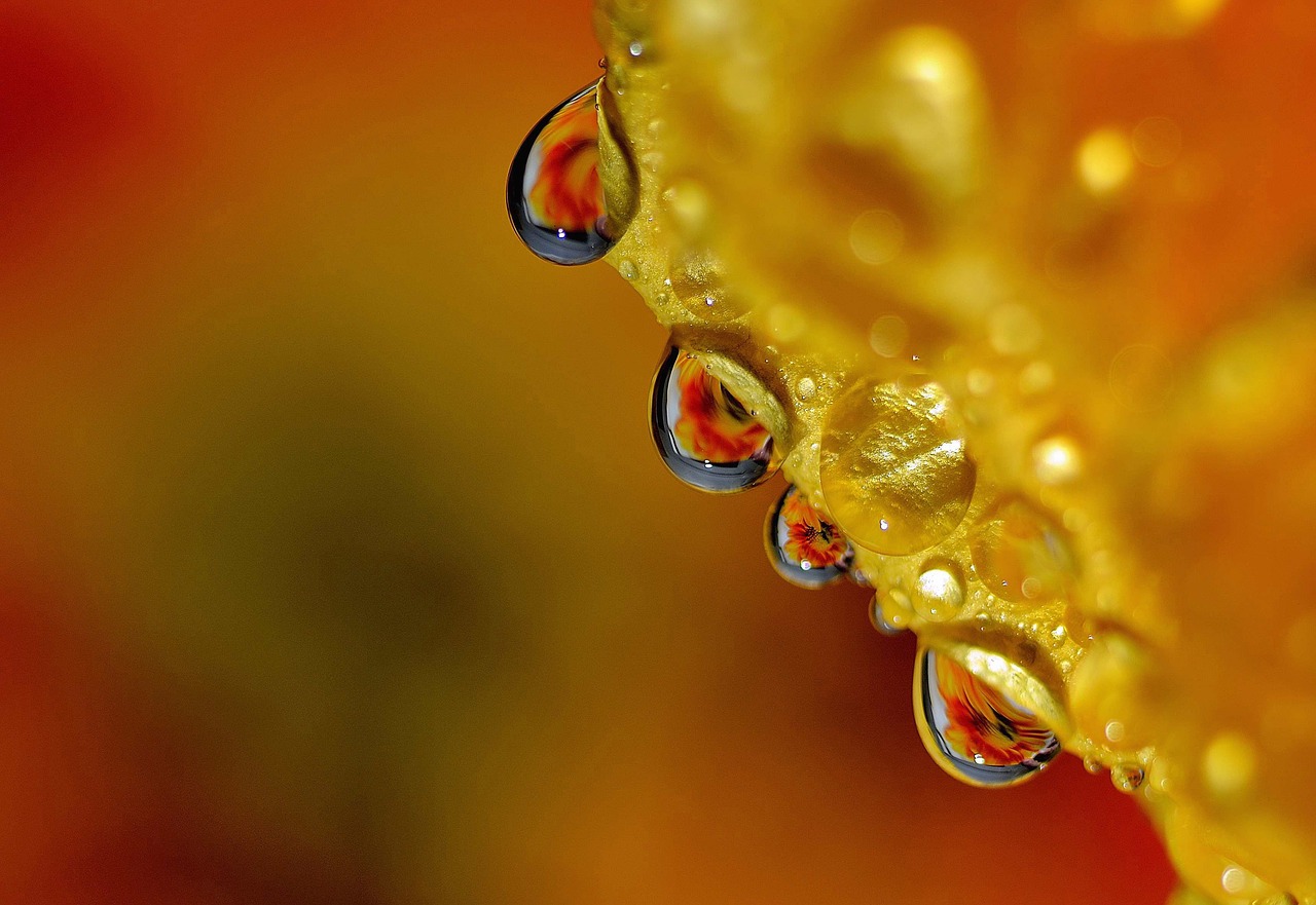 Image - drop droplets high speed photography