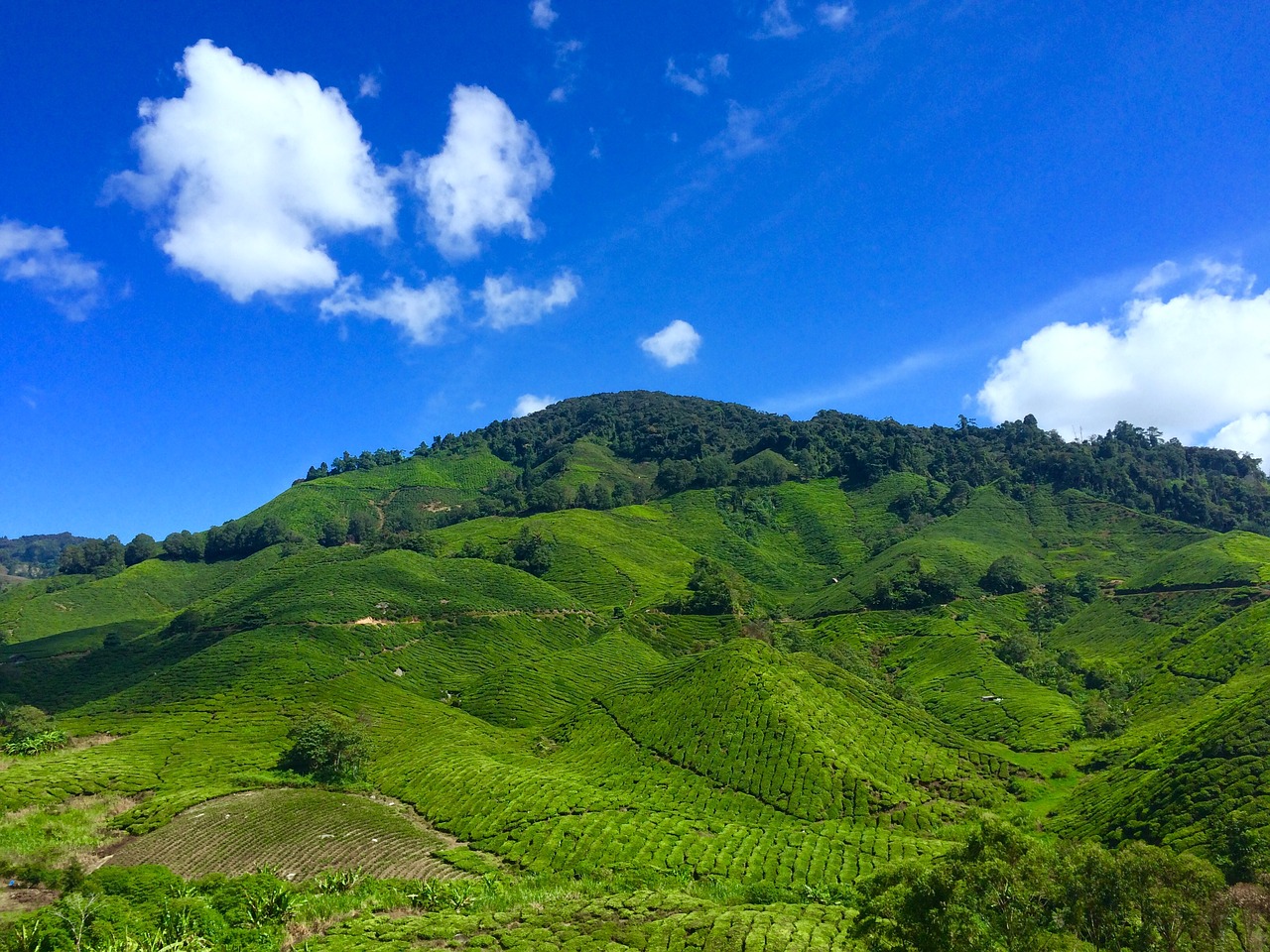 Image - agriculture countryside cropland