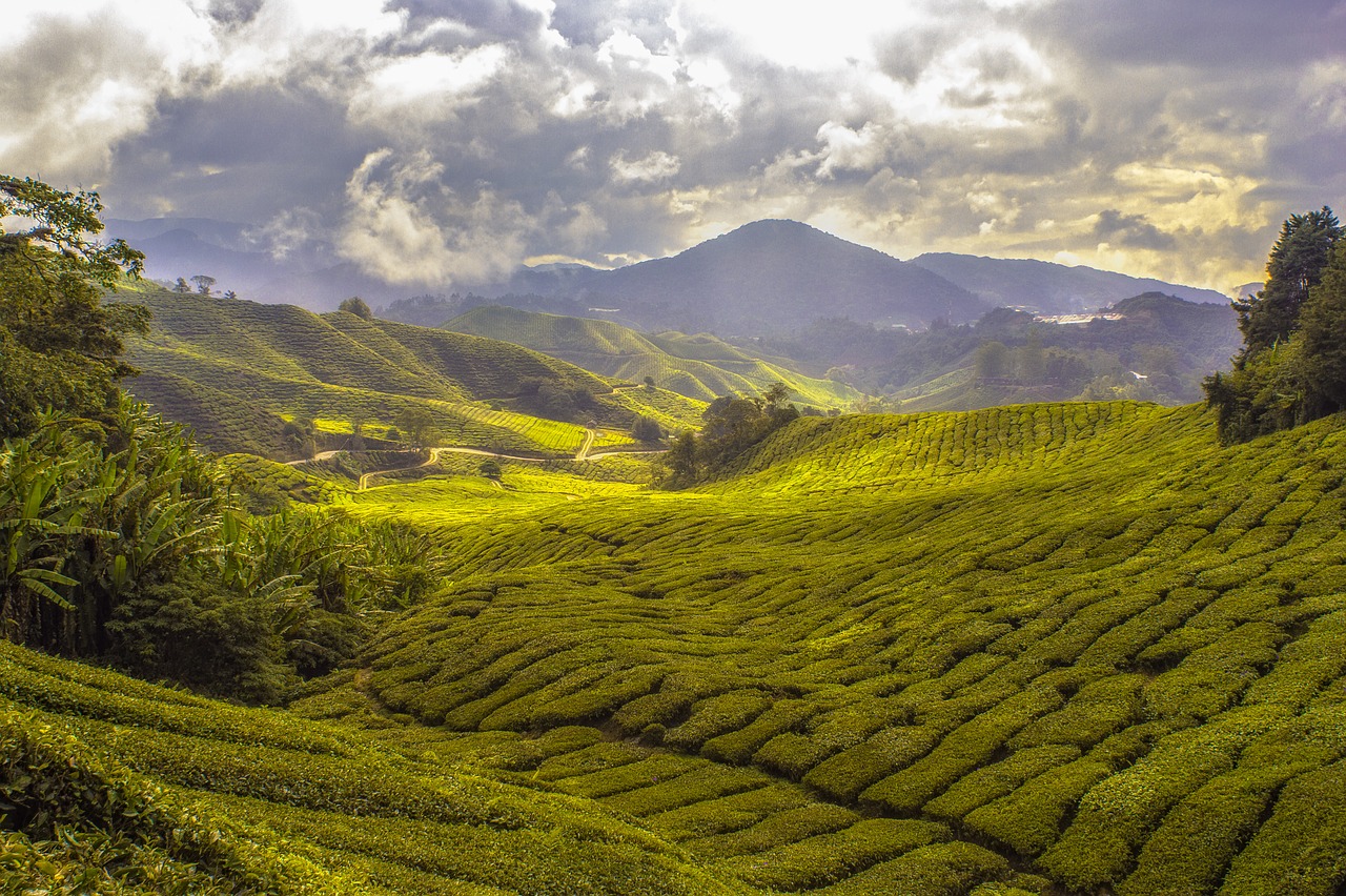 Image - agriculture countryside cropland