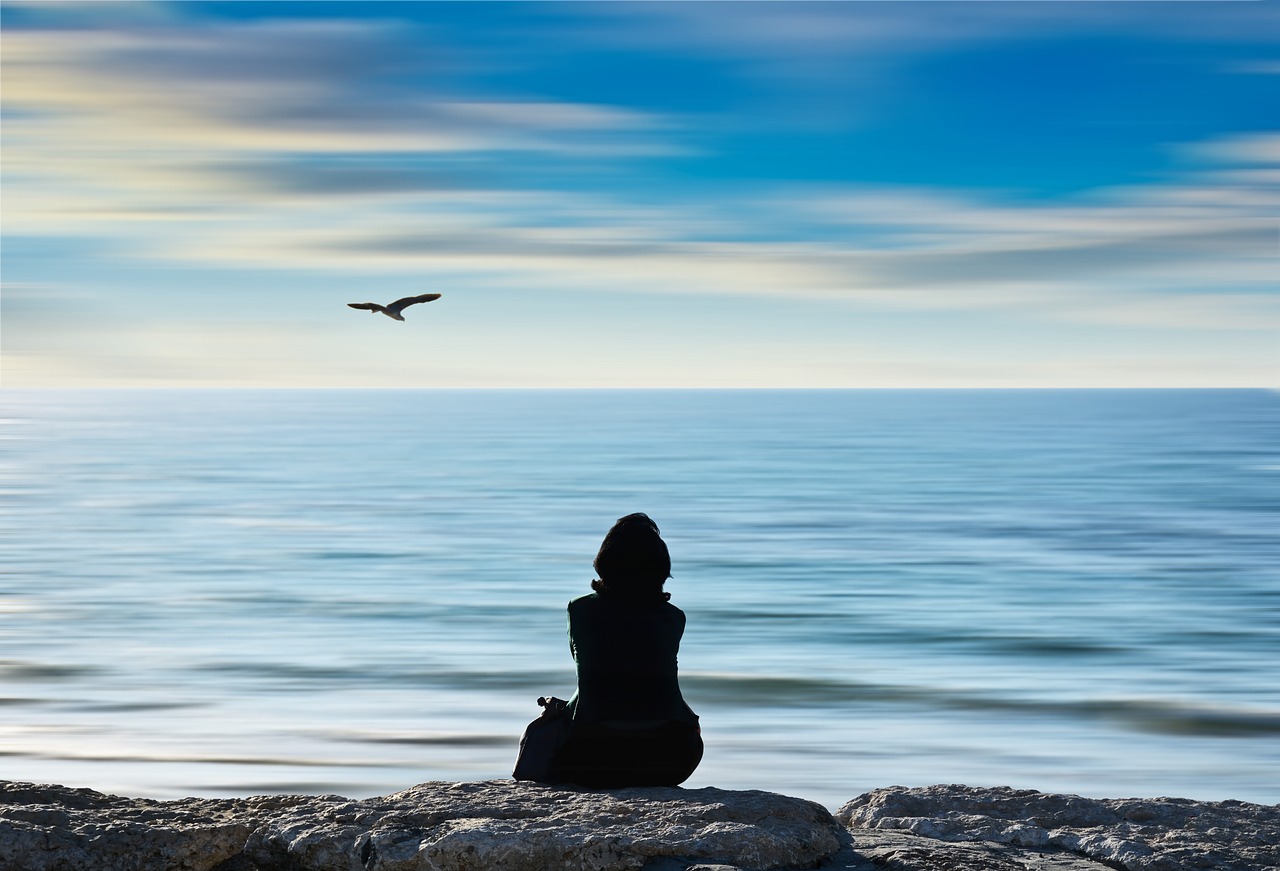 Image - beach bird nature ocean outdoors