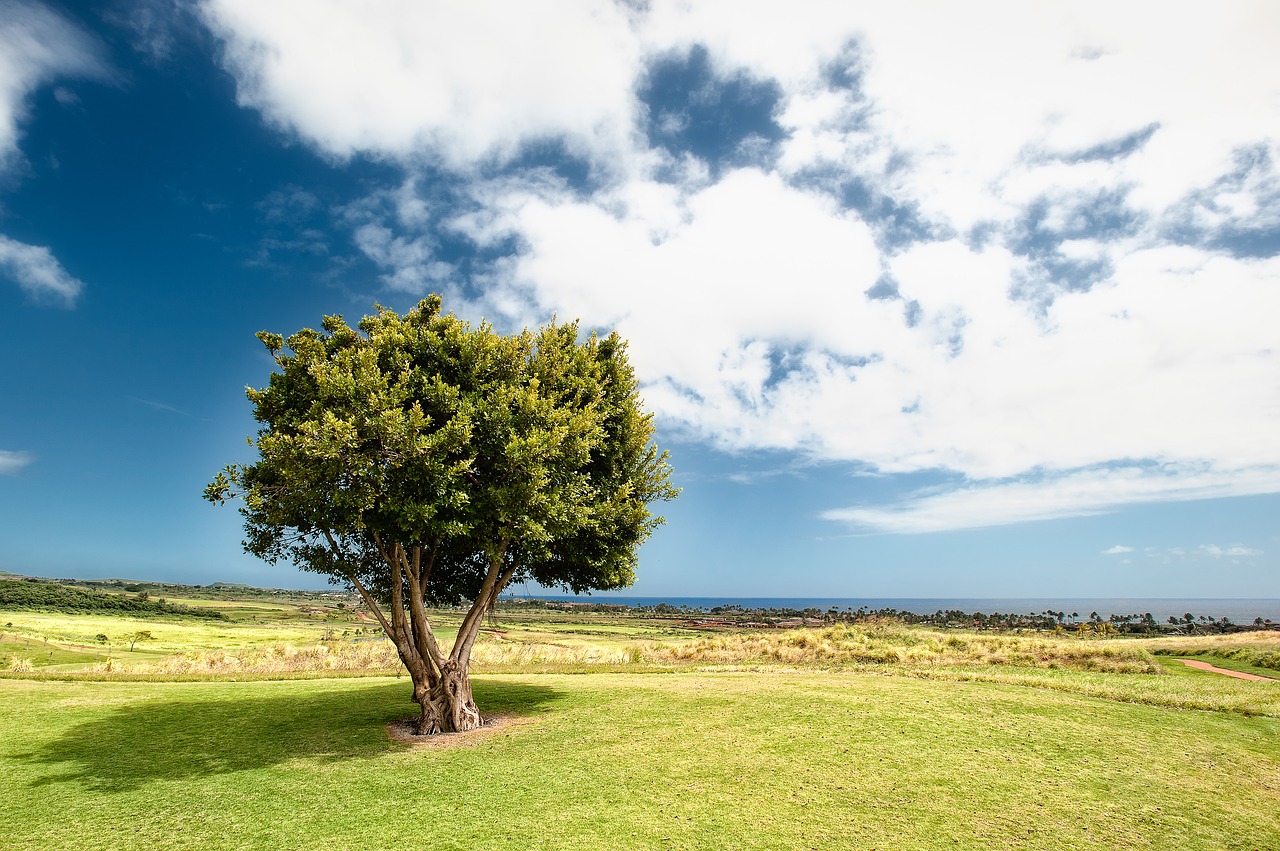 Image - countryside field grass idyllic