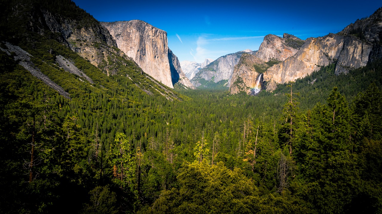 Image - cliffs conifer daylight evergreen