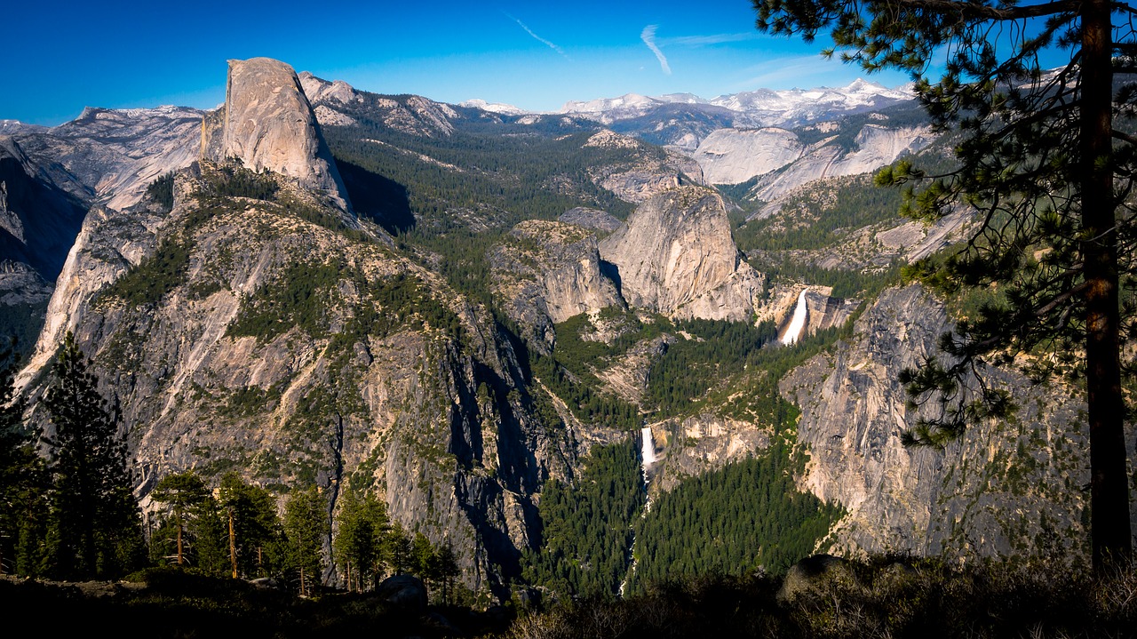 Image - cold forest glacier point high