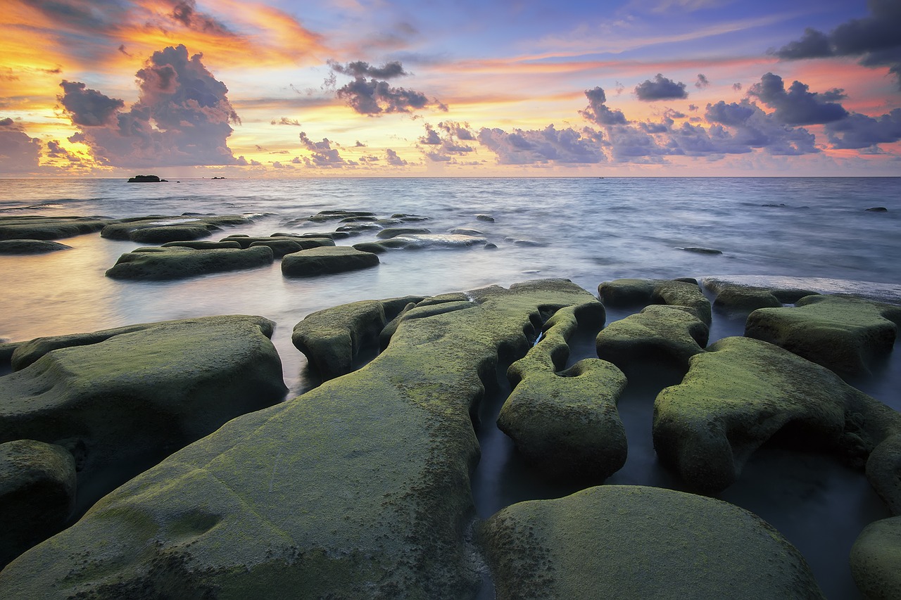 Image - beach beautiful calm clouds moss