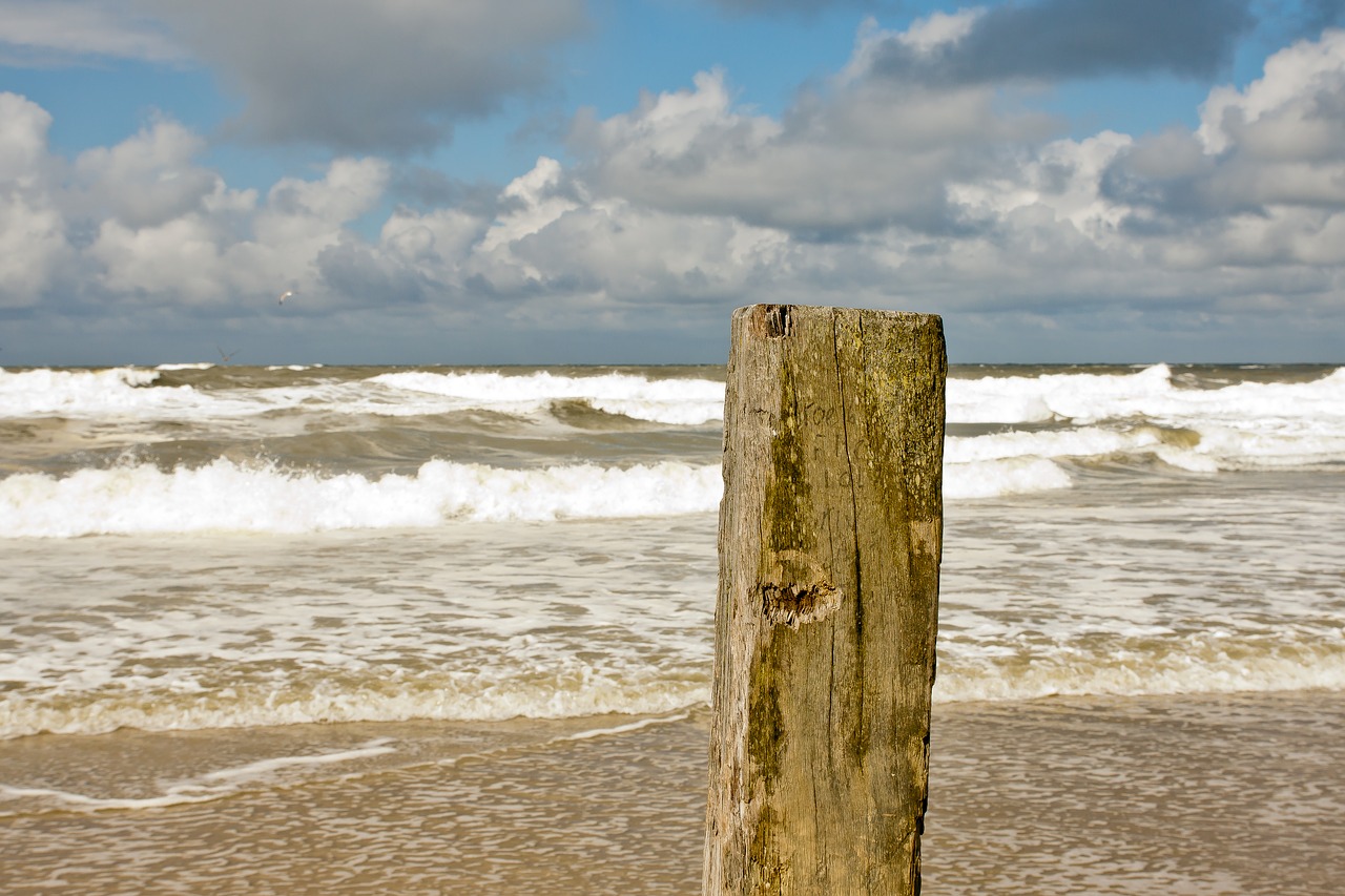 Image - beach sea holiday north sea summer