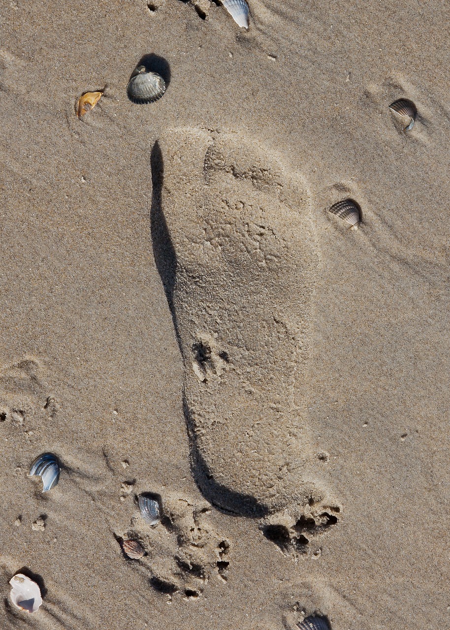 Image - sand beach footprint foot holiday