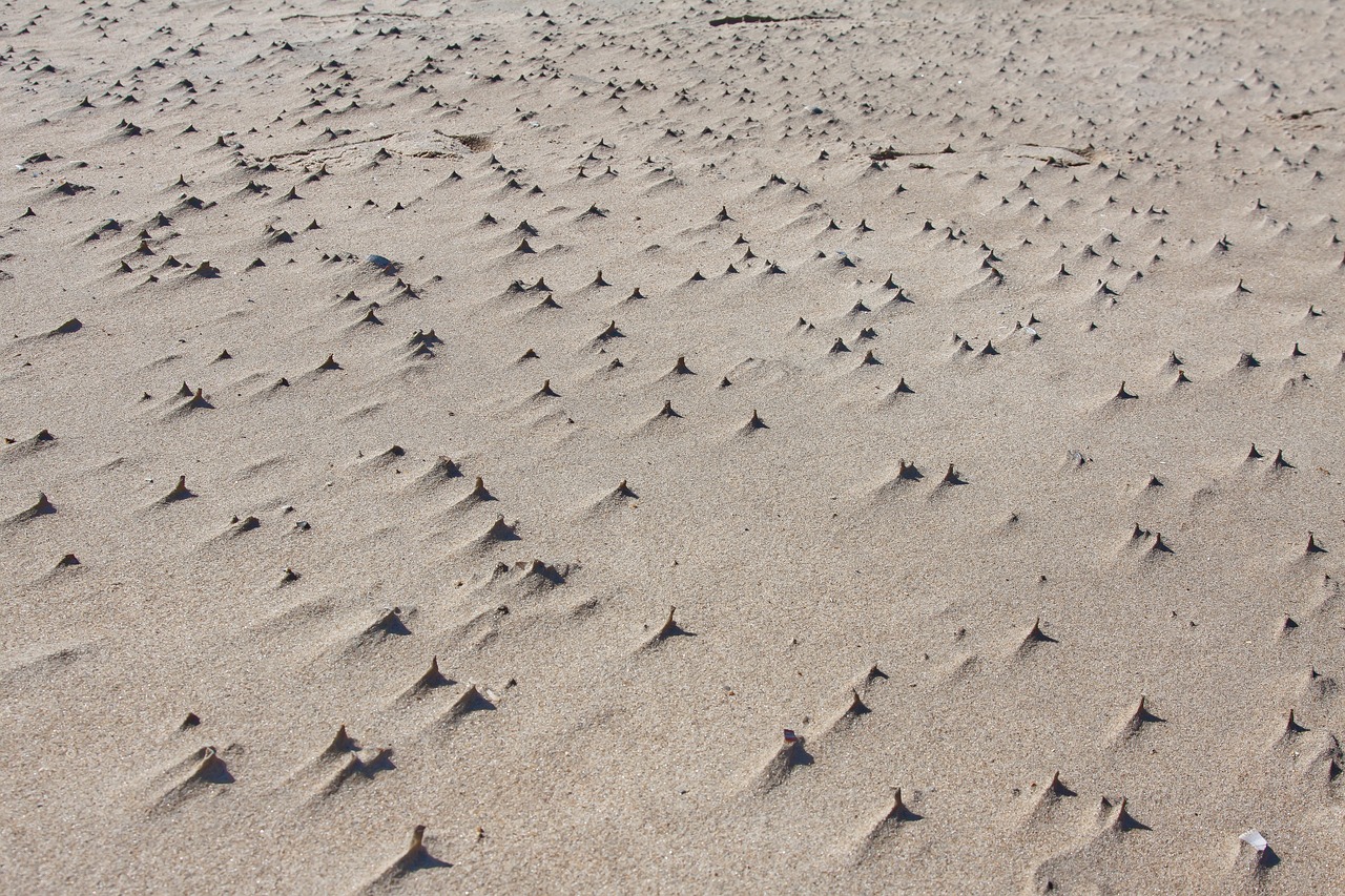 Image - wind sand beach sea nature dunes