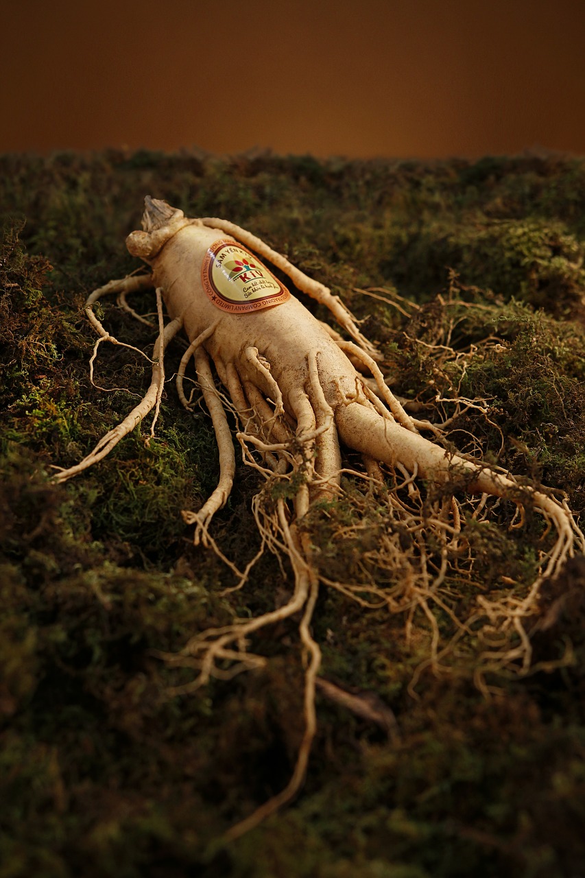 Image - ginseng yellow grass green