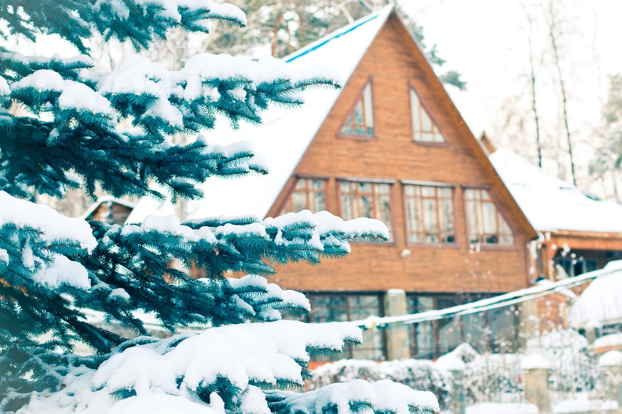 Image - spruce snow snowfall snowdrift