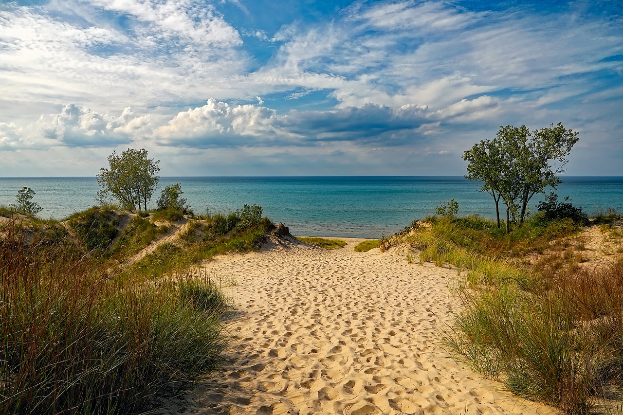 Image - indiana dunes state park beach