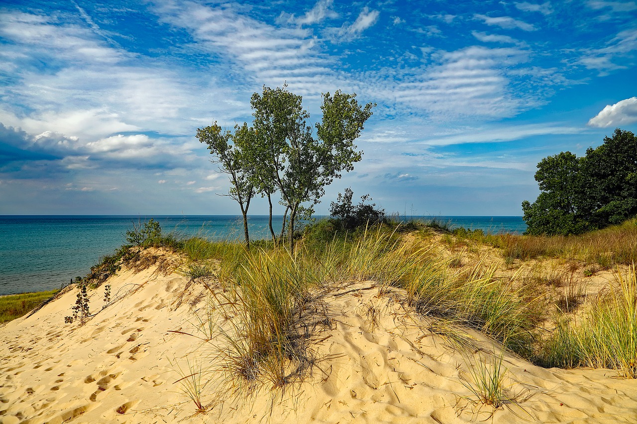 Image - indiana dunes state park beach