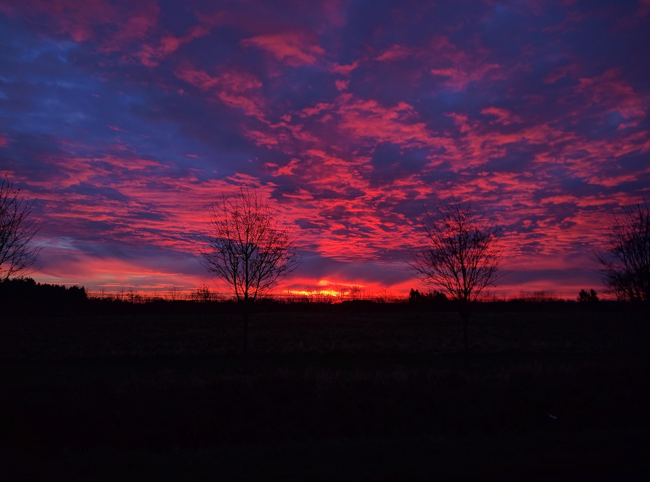 Image - landscape nature morning sunser