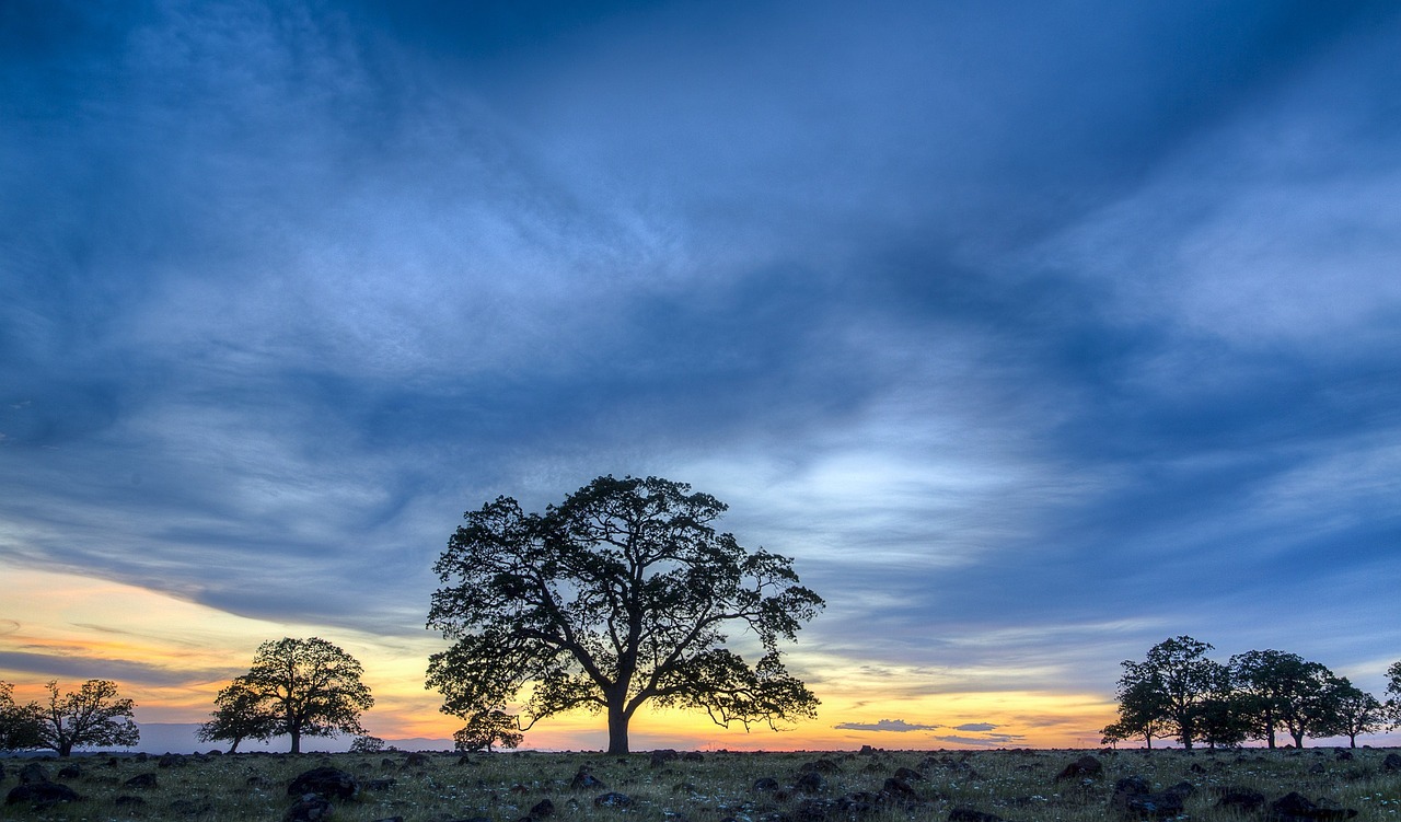 Image - landscape scenic colorful blue sky