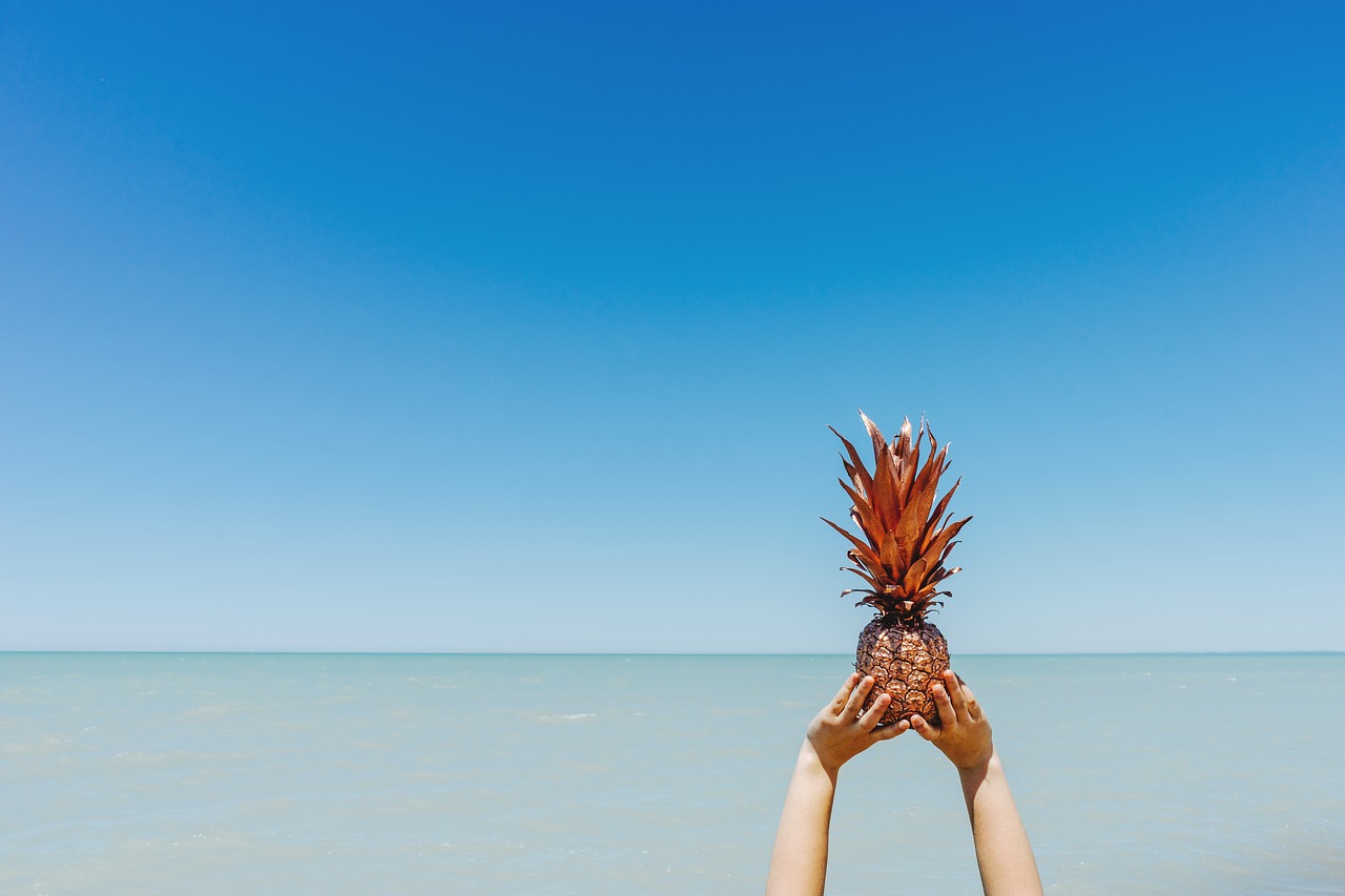 Image - beach blue sky enjoyment leisure