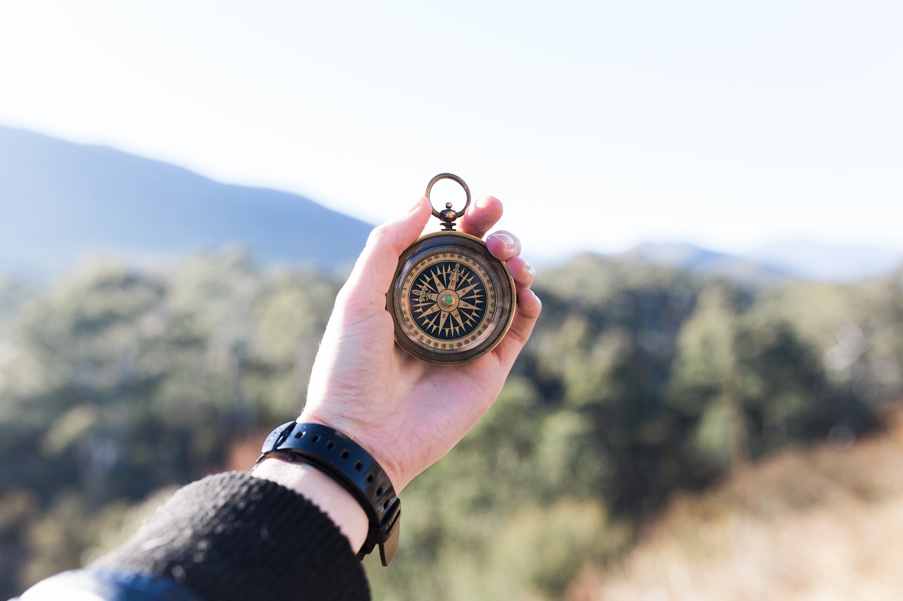 Image - adventure compass hand macro