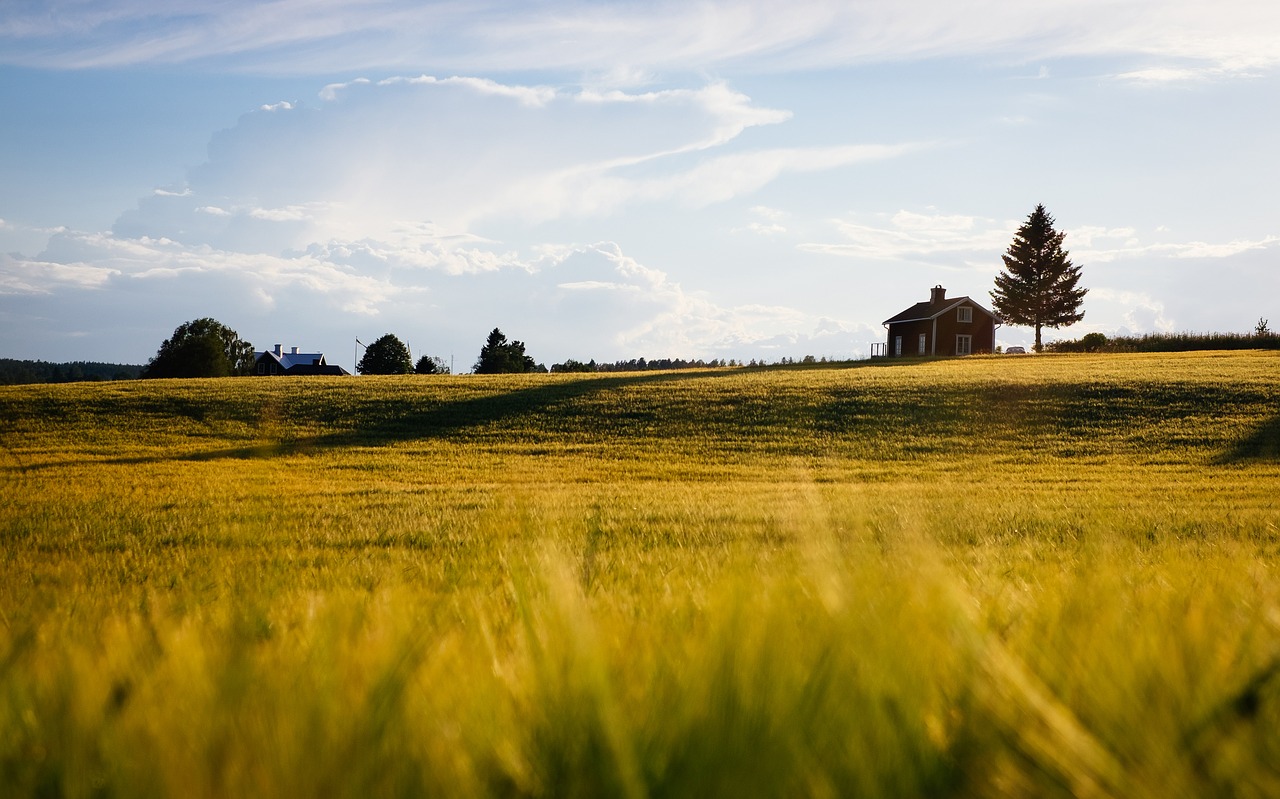 Image - agriculture blur countryside