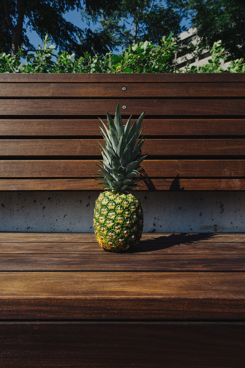 Image - bench fruit pineapple plants