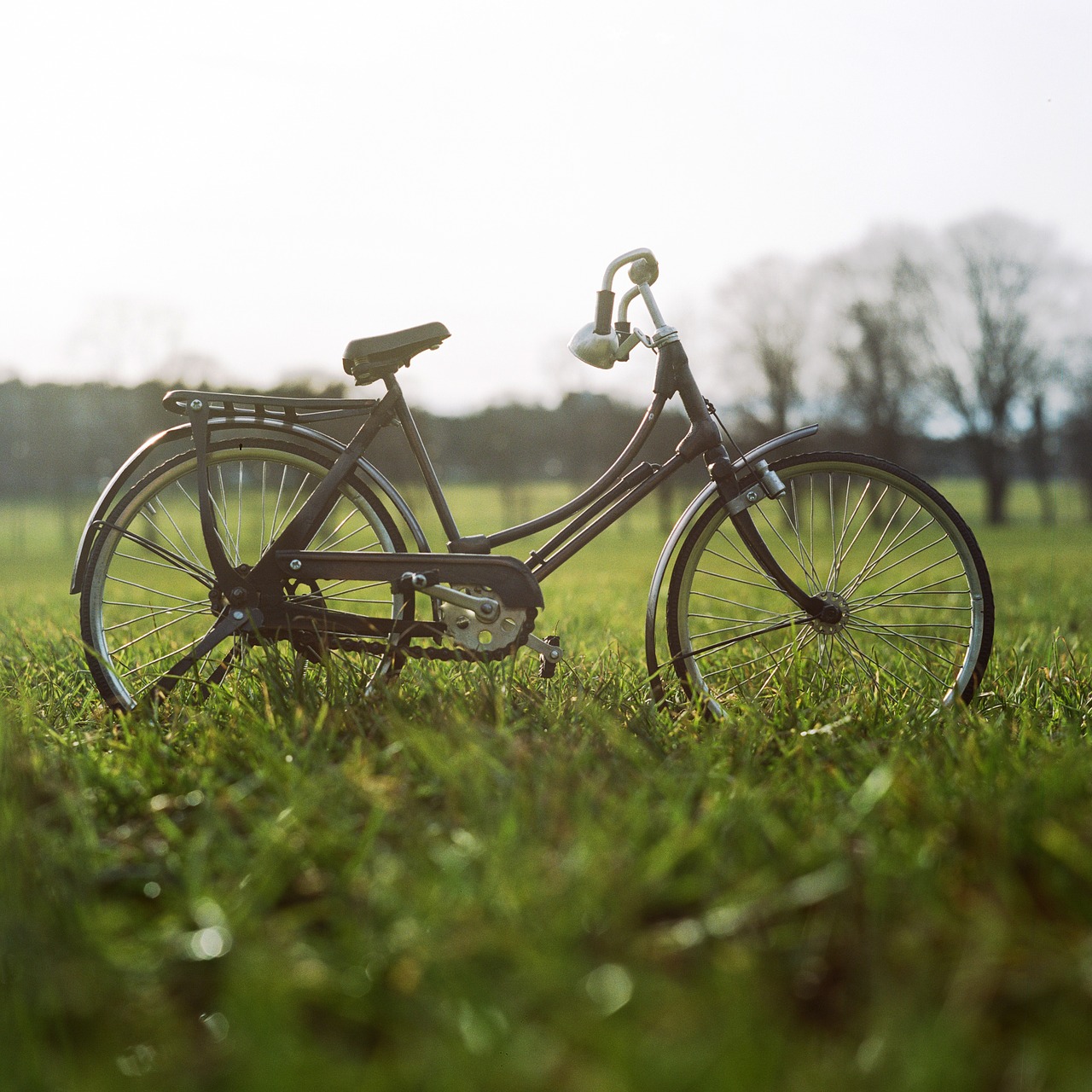 Image - bicycle bike field grass outdoors