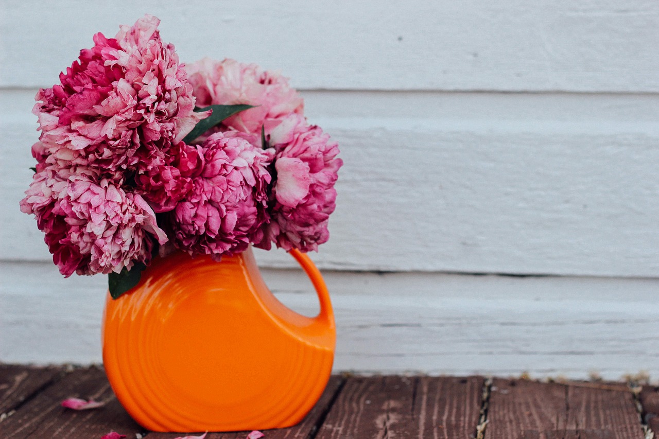 Image - beautiful bloom blooming blossom