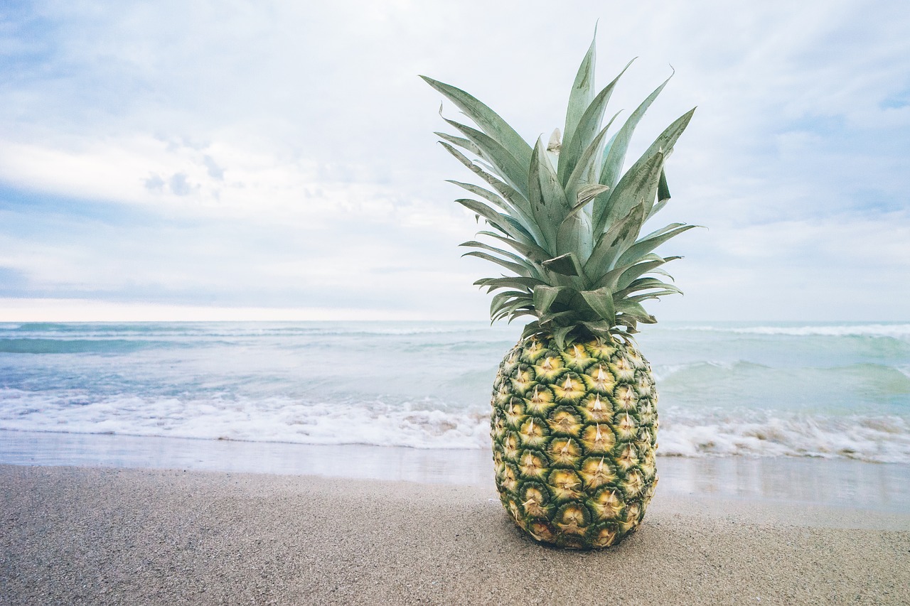 Image - beach fruit lake ocean pineapple