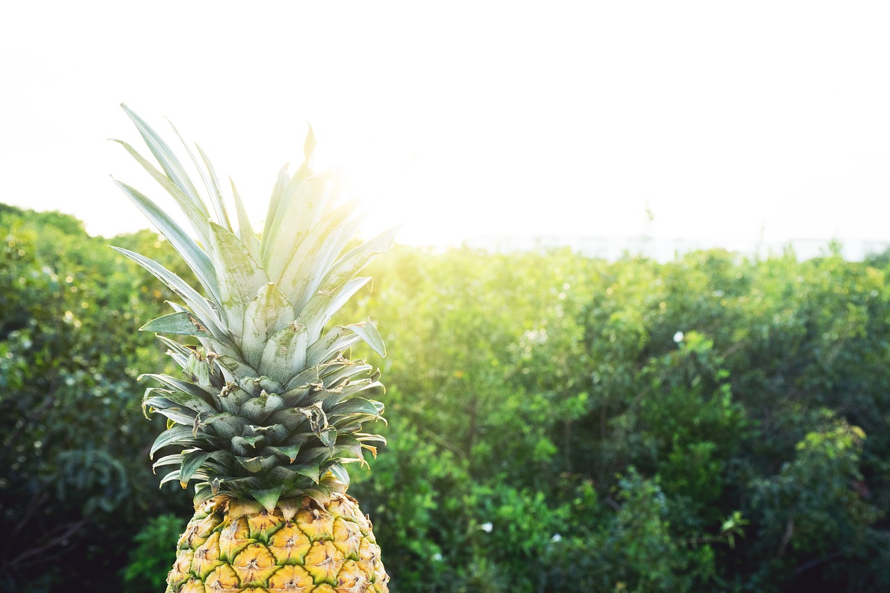 Image - fruit golden mexico pineapple