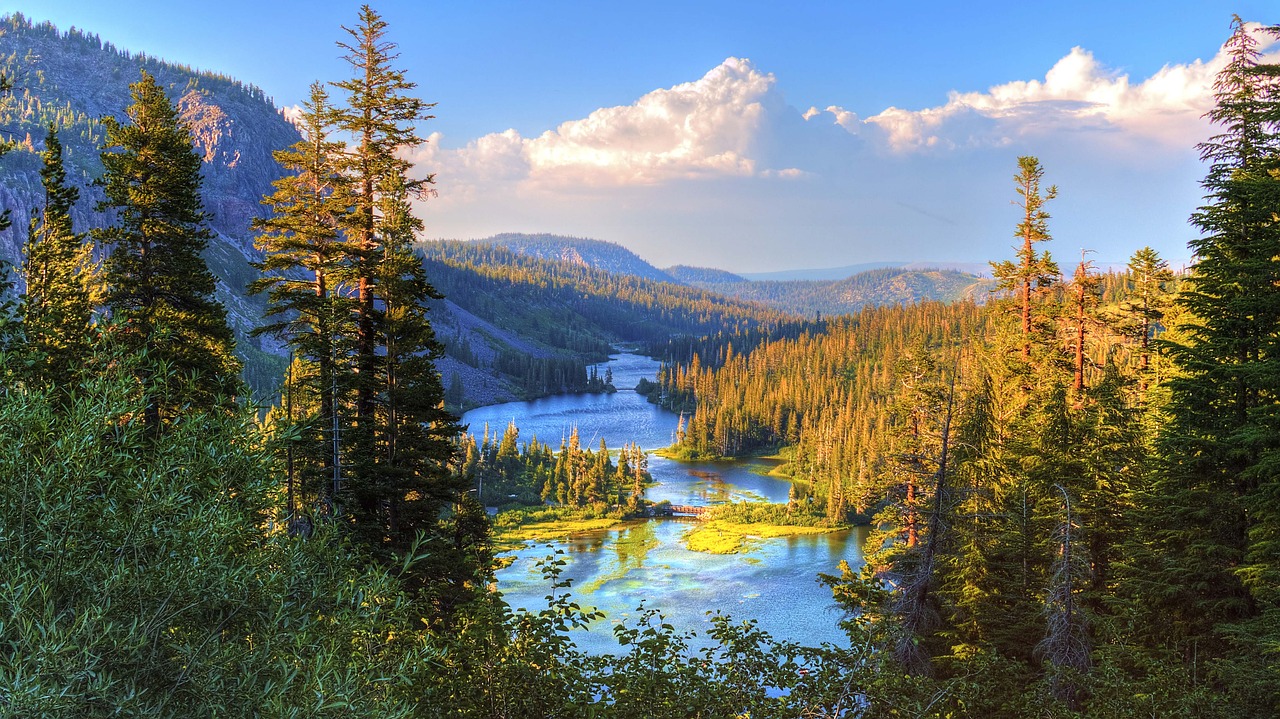 Image - beautiful beauty bridge california