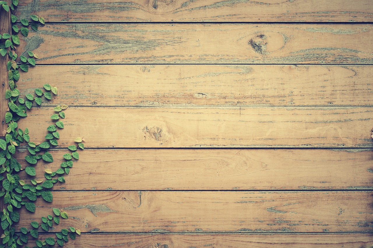 Image - hardwood leaves lumber timber wood