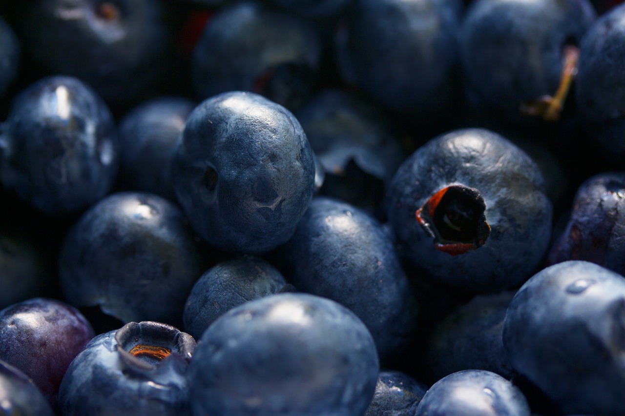 Image - antioxidant berries bilberry